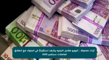 ثبات ملحوظ.. اليورو مقابل الجنيه يشهد استقرارًا في البنوك مع انطلاق تعاملات سبتمبر 2025